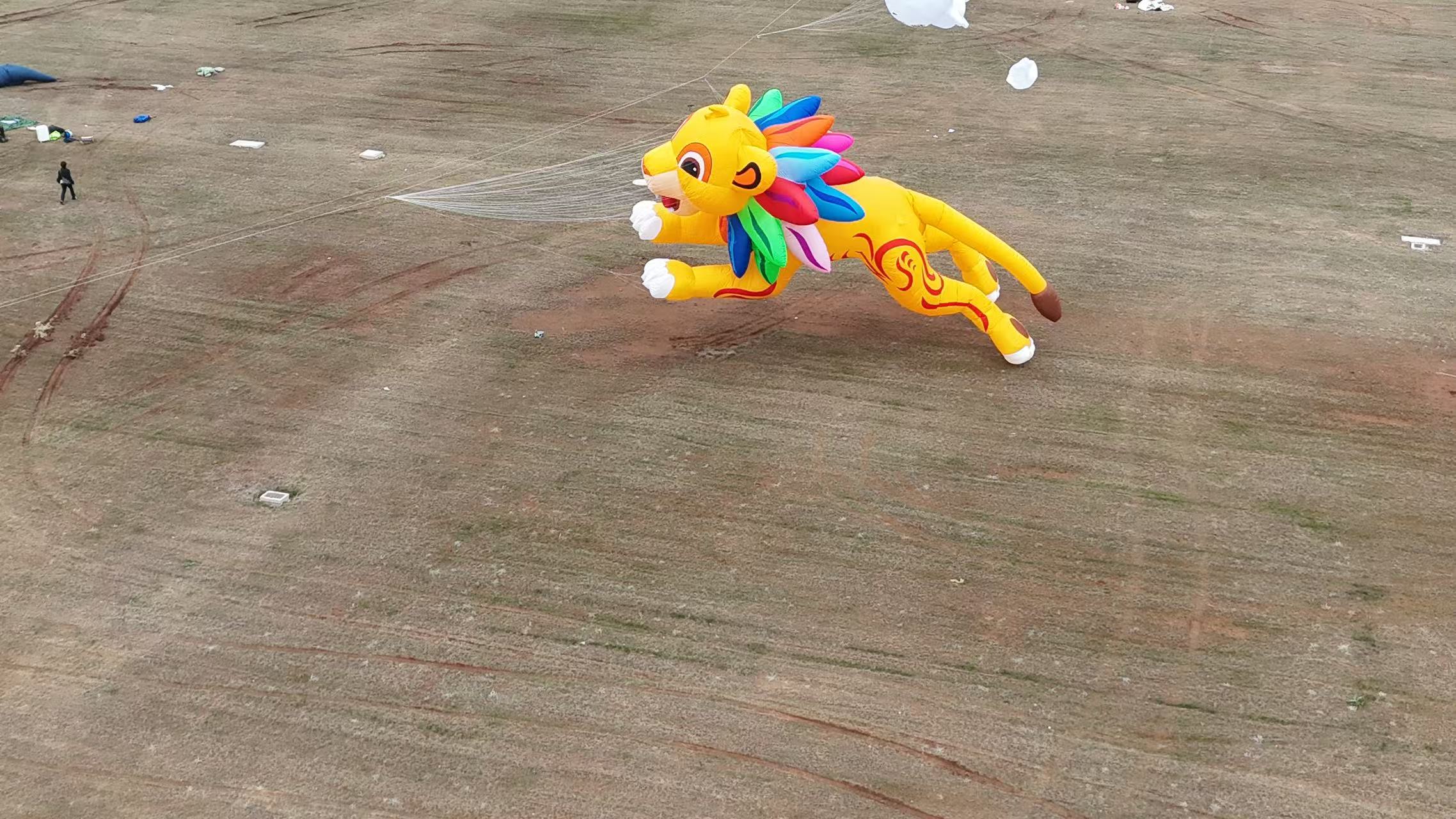 成都市品牌风筝定制软体风筝定制 - 方案